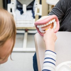 Developmental Therapy Associates - Feeding Therapy