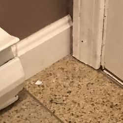 Regal Inn of Hampton Beach - Dirty bathroom