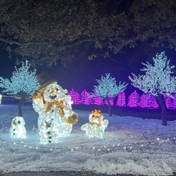 Secrets Dallas - More lights at #FrostivalTexas