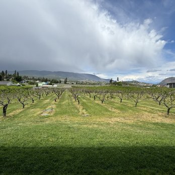 Paynter's Fruit Market - Farmers Market Near Me - West Kelowna, British Columbia