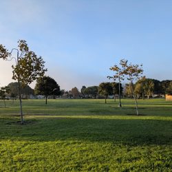 Rio Lindo Park - @endoedibles on Instagram 11/8/25