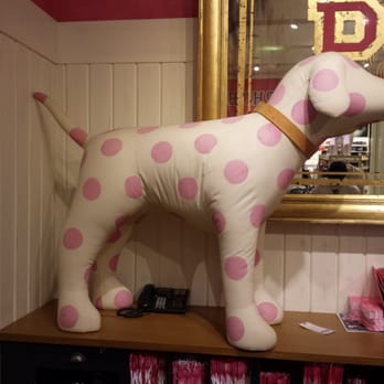 PINK - PINK dog at VS counter - Lingerie Near Me - Boca Raton, Florida