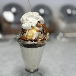Rockin Retro Ice Cream Parlor - Classic hot fudge sundae.