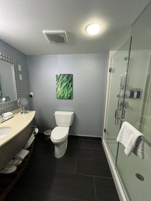 Hotel BLU Vancouver by null