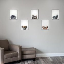 Mac Animal Clinic - We offer separate dog and cat waiting areas.