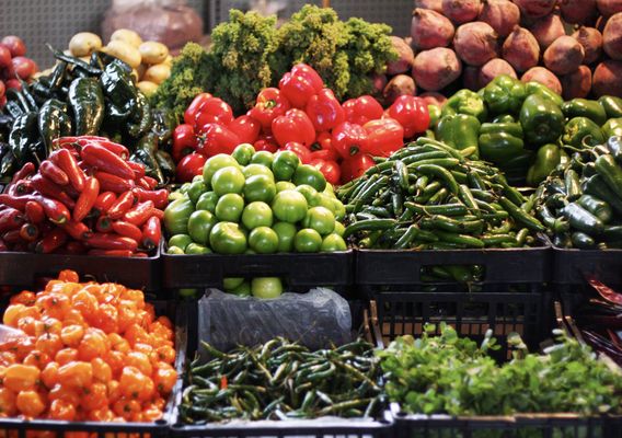 Canino Produce by null