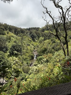 Garden of Eden Arboretum by null
