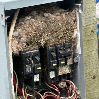 Circuit Pros - Electricians Near Me Circuit Pros - Electricians Near Me