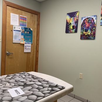 Bonnie Brae Veterinary Hospital - Exam room - Veterinarians Near Me - Columbus, North Carolina