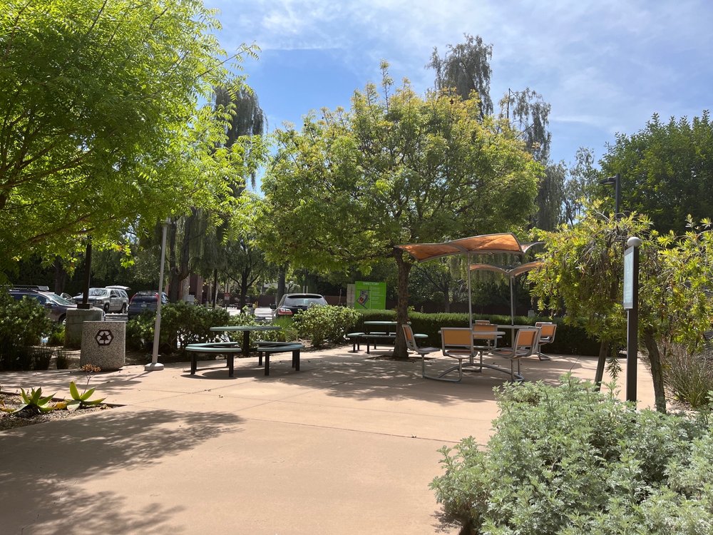 Pacific Oaks College & Children's School - childcare center in Pasadena, CA