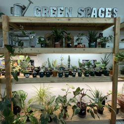 Green Spaces Plant Shop - Inside plant shop