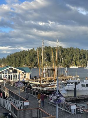 Downriggers - Friday Harbor by null