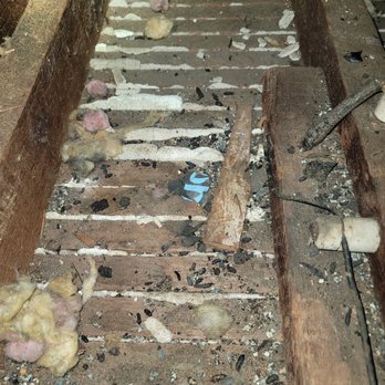 Pro Attic Restoration - Insulation Installation Near Me - Castro Valley, California Pro Attic Restoration - Insulation Installation Near Me - Castro Valley, California