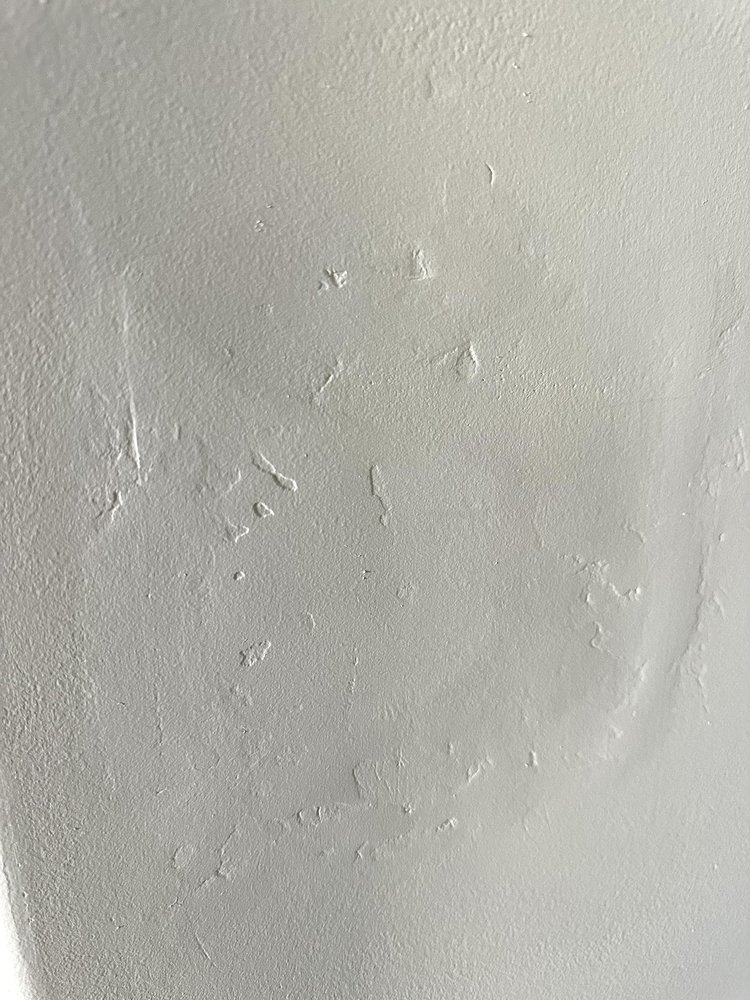 JIMMY BARRETO PAINTING 564 Marcus Nobles Rd NE, Ludowici,