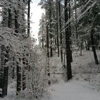Grey Hackle Lodge - Snow on Christmas! - Hotels Near Me - Payson, Arizona