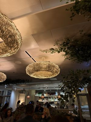 Ema by null Ema by null