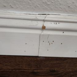 What our baseboards look like after being taken off and put back on several times by them.