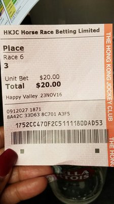 Happy Valley Racecourse by null