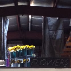 Cedars Wholesale Floral Imports - Beautiful sunflowers fresh from the growers.