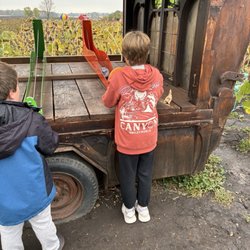 Fall Harvest Orchard - Free game