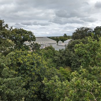 Kew Gardens - A view of the temperate house from the tree top walk. - Botanical Gardens Near Me