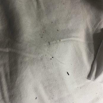 Royal Inn - What I saw when I pulled the blanket back...I have questions, starting with who went to bed without washing their behind first?! - Hotels Near Me - Sparta, Tennessee Royal Inn - What I saw when I pulled the blanket back...I have questions, starting with who went to bed without washing their behind first?! - Hotels Near Me - Sparta, Tennessee