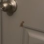 Premier Properties of Mesquite
