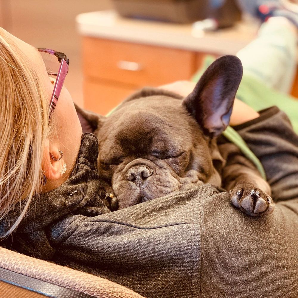 THE BEST 10 Veterinarians near FAIRGROVE, MI 48733 - Last Updated December  2023 - Yelp