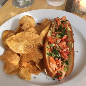 American Beech - Hotels Near Me - Greenport, New York