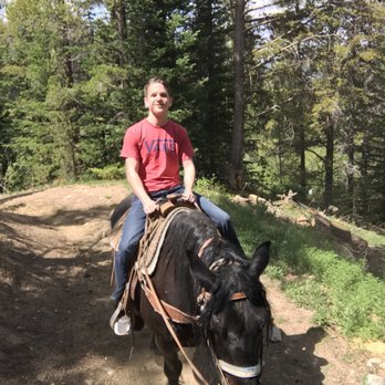 Breckenridge Stables - Horse Boarding Near Me Breckenridge Stables - Horse Boarding Near Me