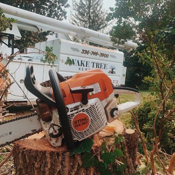 Wake Tree Service - Tree Services Near Me - Lewisville, North Carolina Wake Tree Service - Tree Services Near Me - Lewisville, North Carolina