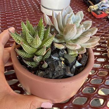Momma Pots - Nurseries & Gardening Near Me - El Cajon, California