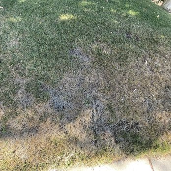 Manny's Landscaping - Dead and unsightly front lawn. - Landscaping Near Me Manny's Landscaping - Dead and unsightly front lawn. - Landscaping Near Me