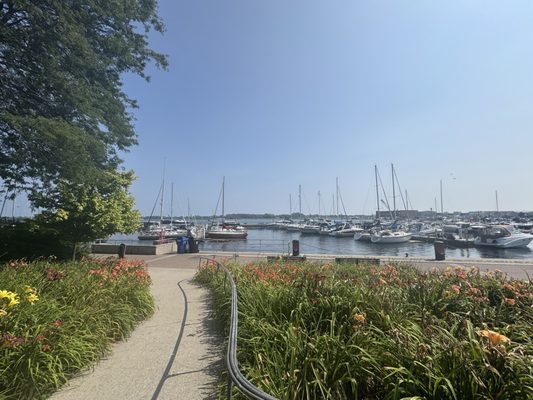 Toronto Music Garden by null