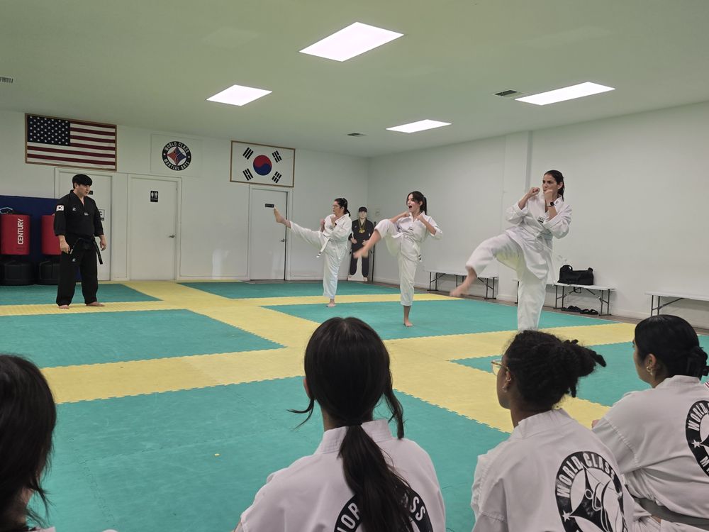 World Class Martial Arts Logo