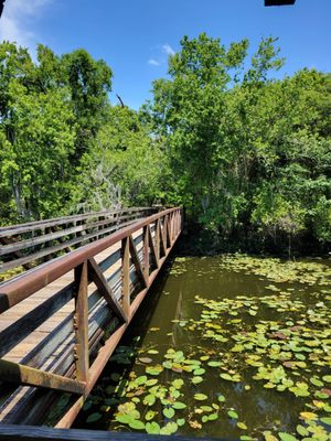 Sawgrass Lake Park by null