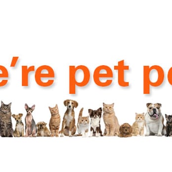 Unit Realty Group - We're Boston's pet-friendly real estate brokerage. We make real estate a positive experience for you and your pets. - Real Estate Services Near Me - Boston, Massachusetts Unit Realty Group - We're Boston's pet-friendly real estate brokerage. We make real estate a positive experience for you and your pets. - Real Estate Services Near Me - Boston, Massachusetts