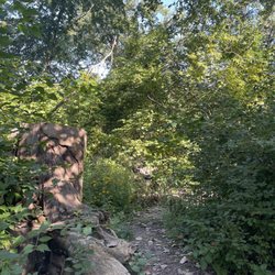 Sleepy Hollow Park - Walking path