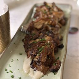 Oyster Mushroom