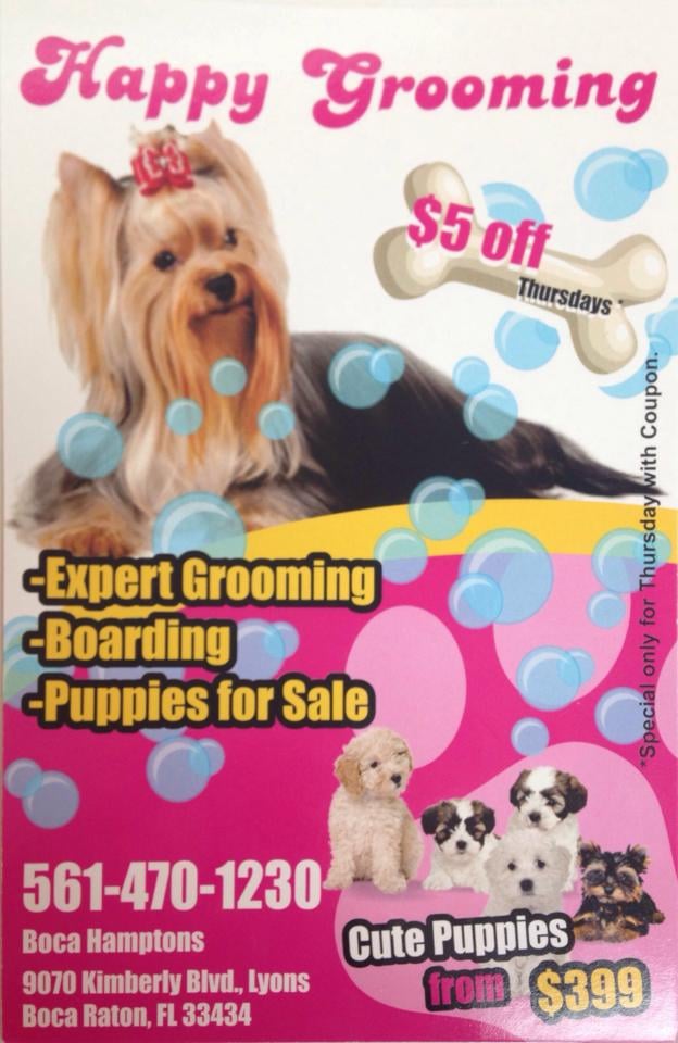 Beautiful Dog Groomers Boca Raton Design Nature Beautiful Dog Groomers Boca Raton Design Nature