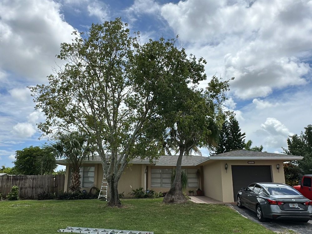 Slide of Roofing Reina