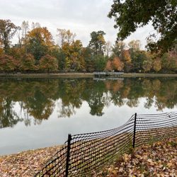 Centennial Park