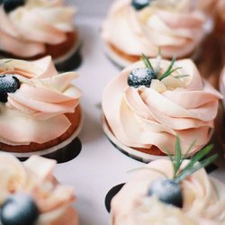 Vanilla cupcakes