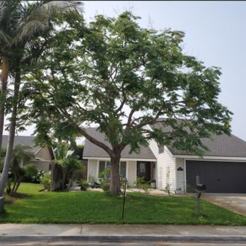 Benito's Gardening - Tree Services Near Me - San Juan Capistrano, California Benito's Gardening - Tree Services Near Me - San Juan Capistrano, California