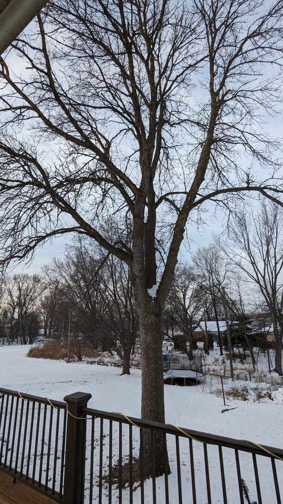 Arbortech Stump & Tree Removal - tree service in Minneapolis, MN