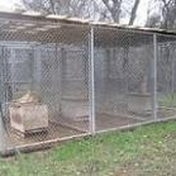 Critter Creek Wildlife Station