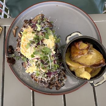 Sugar and Scribe - Mushroom and egg toast with potatoes - Bakeries Near Me - La Jolla, California Sugar and Scribe - Mushroom and egg toast with potatoes - Bakeries Near Me - La Jolla, California