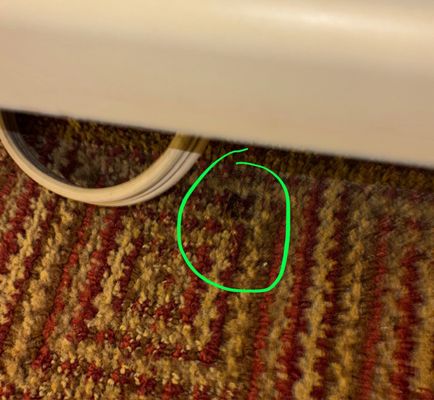 La Quinta Inn by Wyndham Austin Capitol / Downtown