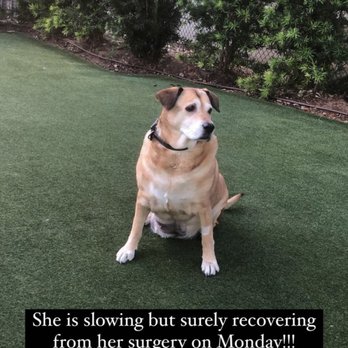 Klyde Warren Park - Even after surgery, she loves being here - Parks Near Me - Dallas, Texas Klyde Warren Park - Even after surgery, she loves being here - Parks Near Me - Dallas, Texas