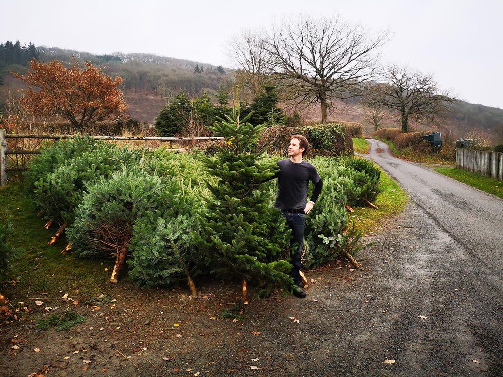 ST MICHAEL’S CHRISTMAS TREES St Michael's St, St Albans
